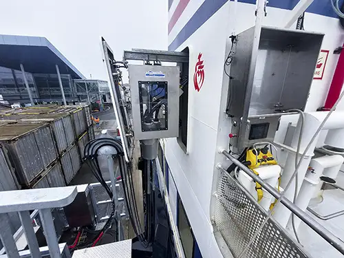 insula-oya-gros-plan